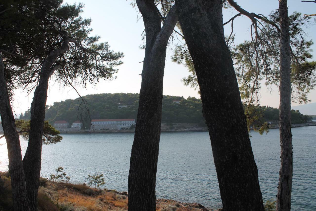 Apartmán Covahouse Jelsa  Exteriér fotografie