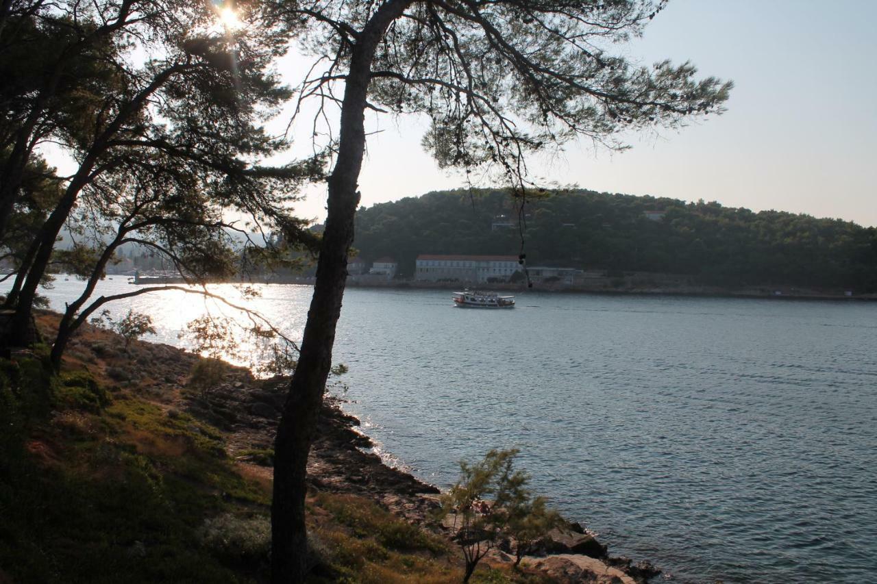 Apartmán Covahouse Jelsa  Exteriér fotografie