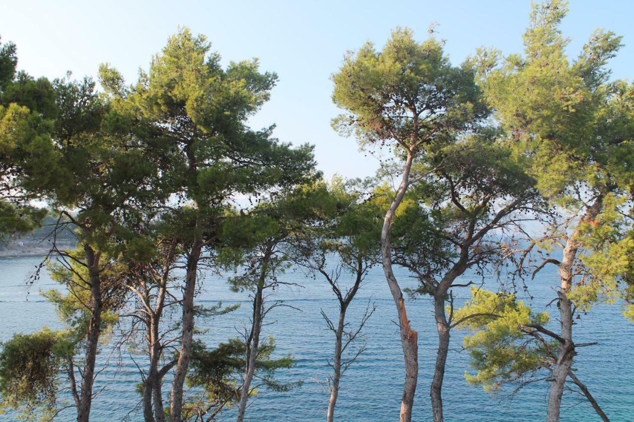 Apartmán Covahouse Jelsa  Exteriér fotografie
